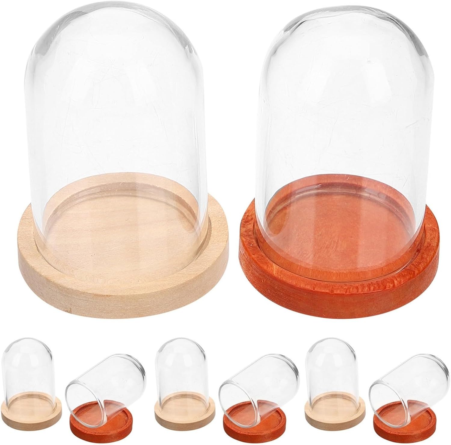 10pcs Mini Glass Cloche Dome with Wooden Base, Display Case