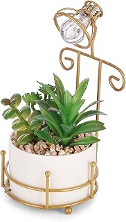 S & A Premium Artificial Succulents in Modern White Planter - Lush Green Plants with Golden LED Light Frame - Ideal for Home Decor, Office Desk & Gifting - Elegant Tabletop Accent