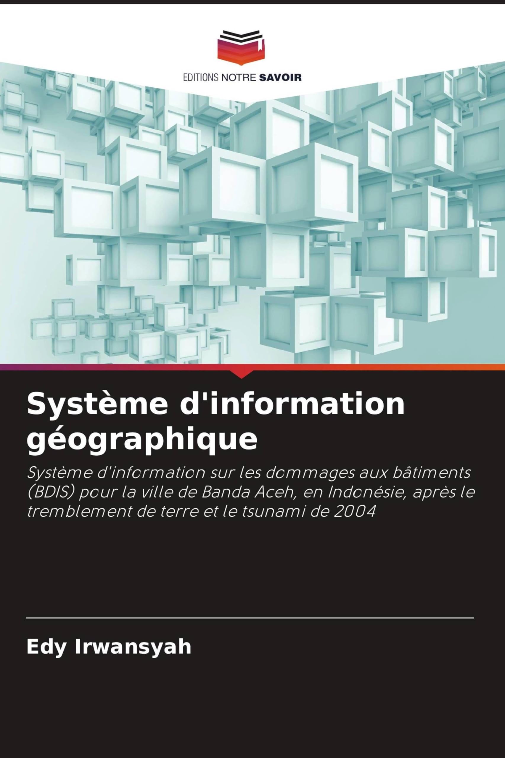 Système d'information géographique: Système d'information sur les dommages aux bâtiments (BDIS) pour la ville de Banda Aceh, en Indonésie, après le tremblement de terre et le tsunami de 2004