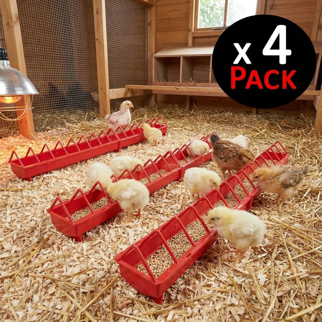 Suinga Pack 4 Comederos plásticos para Gallinas | Rejilla Ancha 100x12x13 cm | Comedero para Pollitos 1ª Edad | Canal Anti-Desperdicio