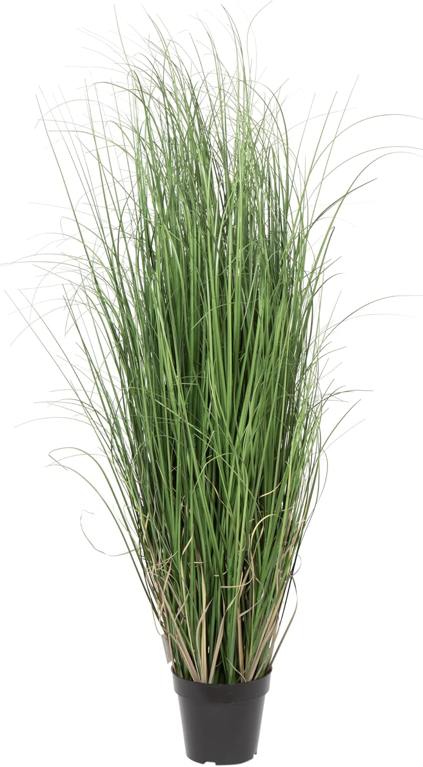 Vickerman 48" Tall PVC Artificial Potted Green Curled Grass Decor - Realistic Looking Greenery Decoration for Home Kitchen Business Office Arrangements