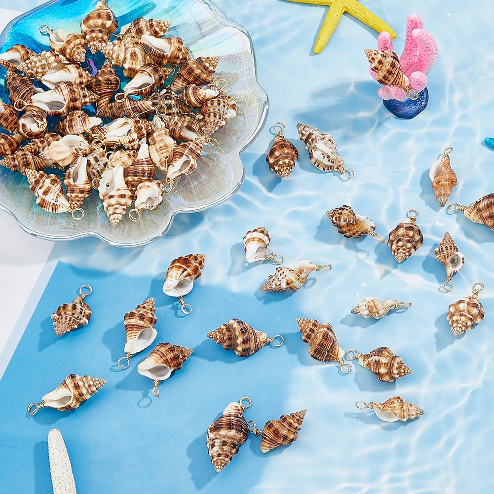 Pendentif Coquillage Naturel Spirale Doré, Fourniture Créative