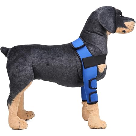 Amazon Petcute 犬用リハビリ ペット用ケア用品 関節プロテクター 犬用サポーター 膝サポーター 骨折治療 術後ウェア 傷舐め防止 老犬介護 怪我防止 調節可能 S ブルー Petcute 術後ウェア 通販