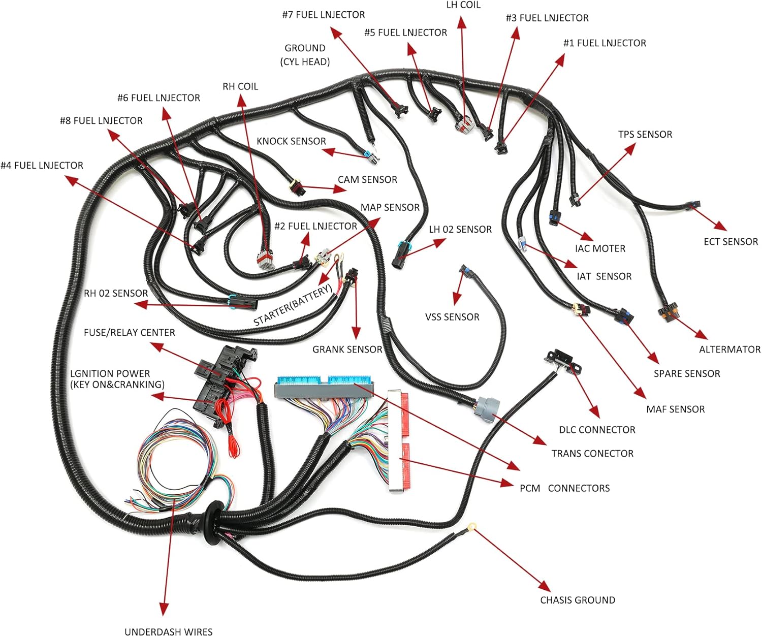 Standalone Wiring Harness, Compatible with 1997-2006 GM DBC LS1 Vortec 4.8L 5.3L 6.0L, with 4L60E or 4L80E(with Adapter) Transmissions, Drive by Cable Throttle Body, LS Swap Wire Harness : Electronics