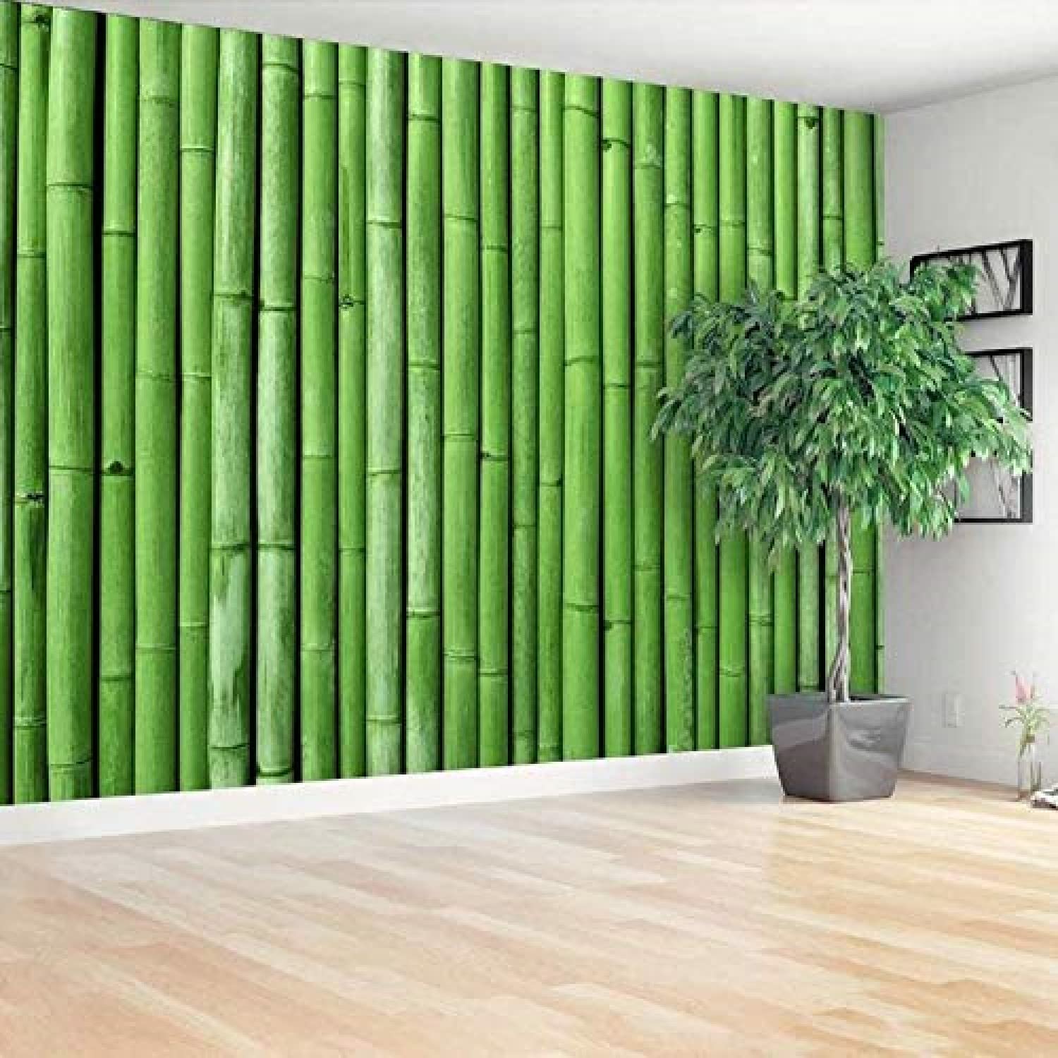 Indian Royals Wallpaper for Walls, Wallpaper, Wall Paper for Wall Decor, Wall Paper, Wall Stickers for Kitchen, 200 x 45 cm, Multicolour (B081DVKVQ3) Amazon Price History, Amazon Price Tracker