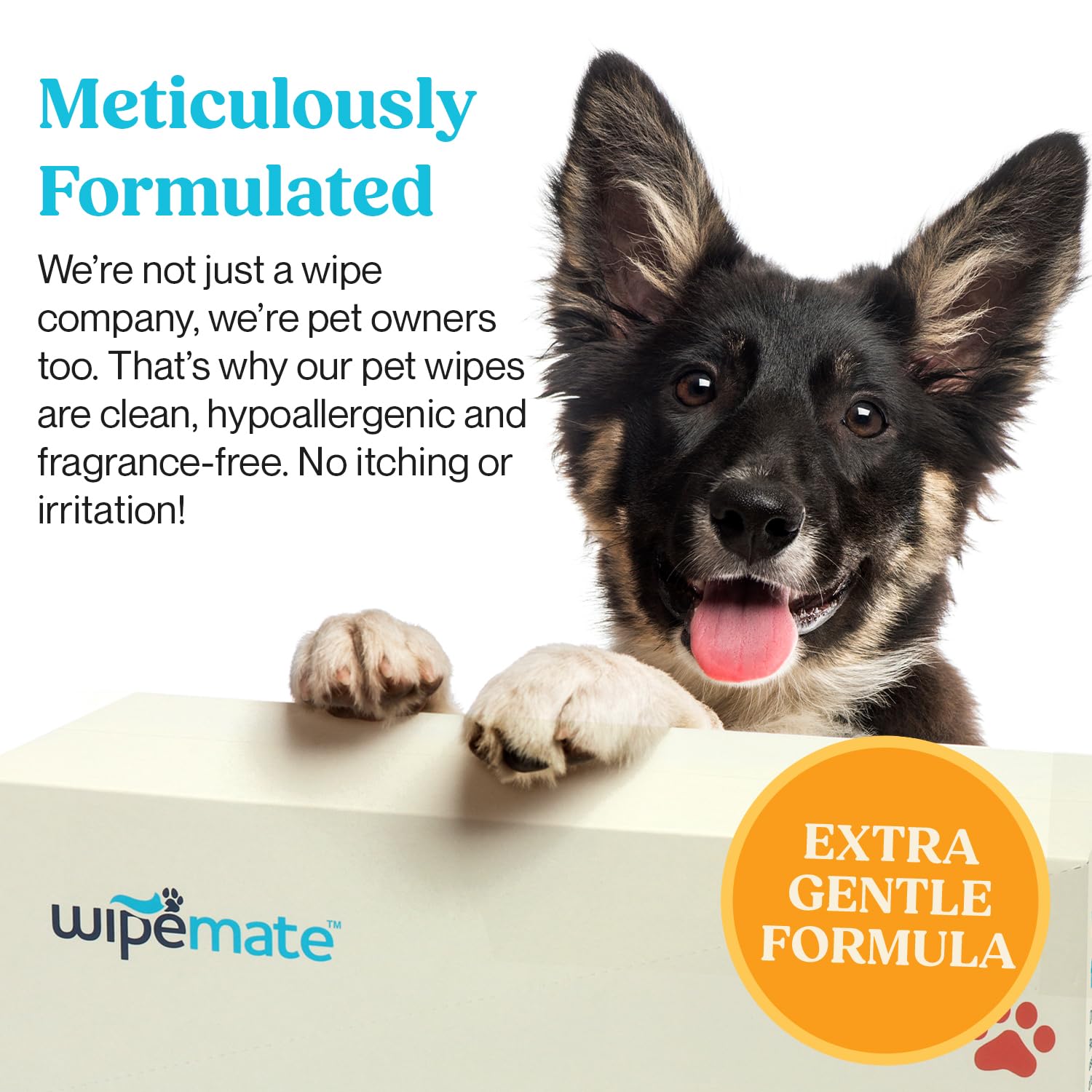 Cat Wipes Cleaning Fur 400 Plant-Based Dog Wipes: Unscented