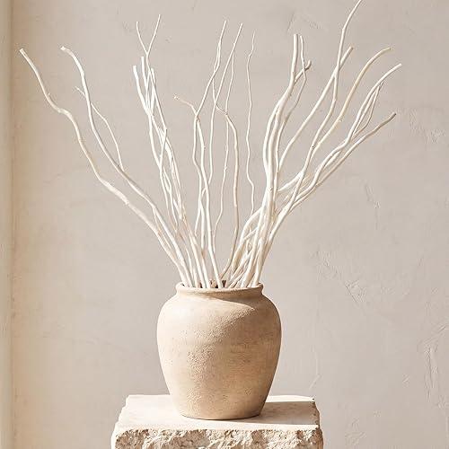 Thiccywoov 24 Pcs Natural Dried White Willow Branches Decorative Twigs