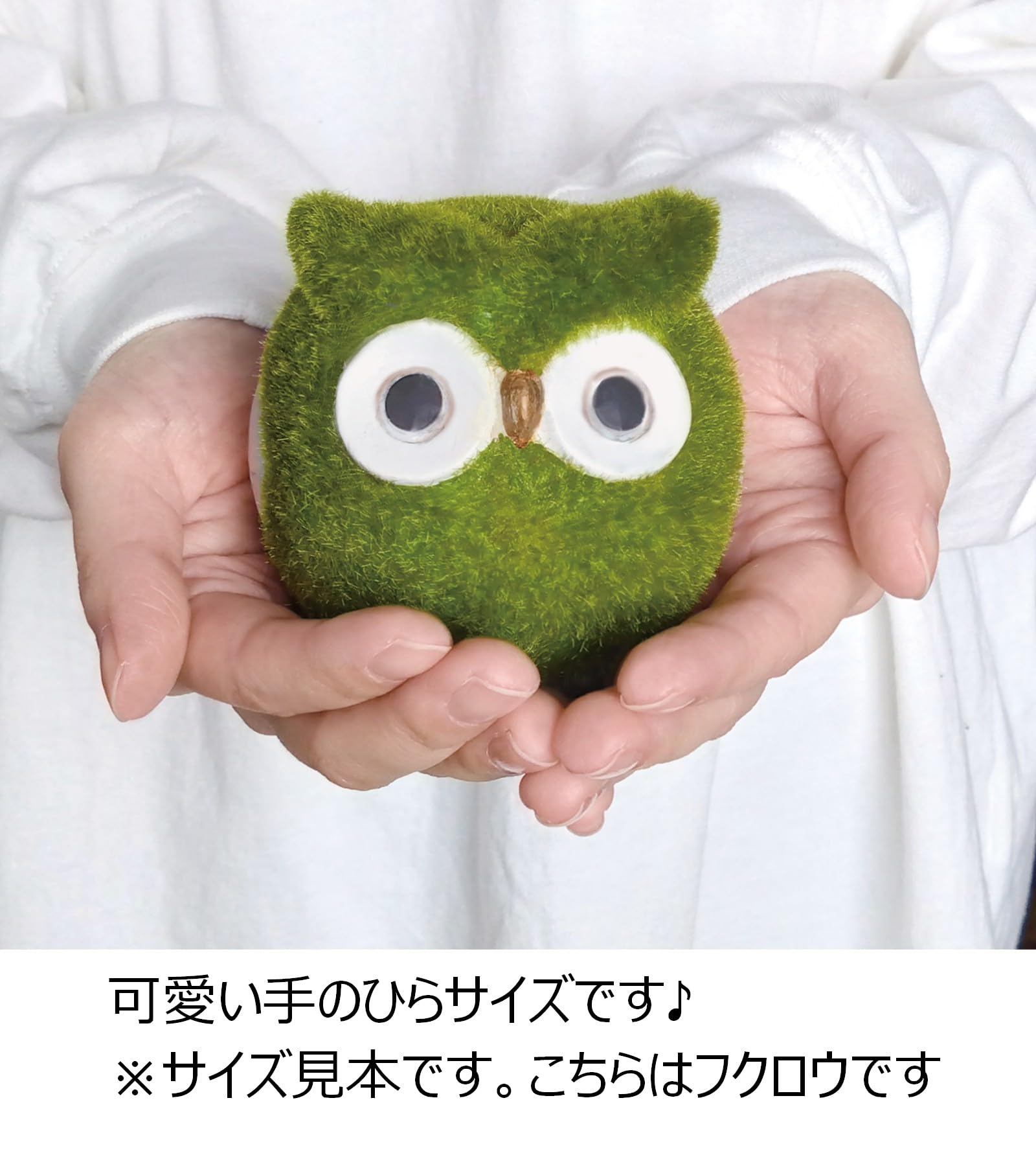 矢板緑 フクロウ 2枚セット Amazon.co.jp: フルタック 光触媒 消臭 抗菌 防カビ フェイクモス