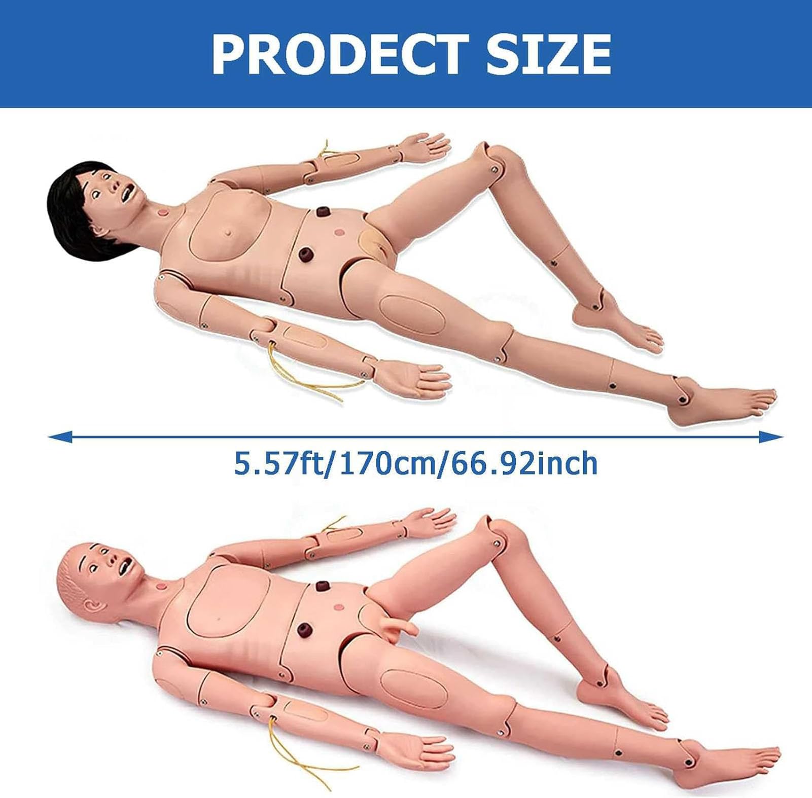 Mannequin de formation aux compétences en soins infirmiers