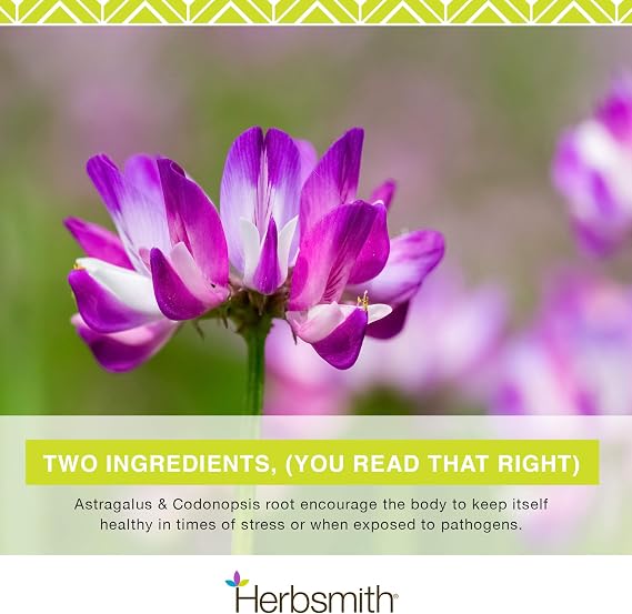 Herbsmith, Immune Support - 150g Powder