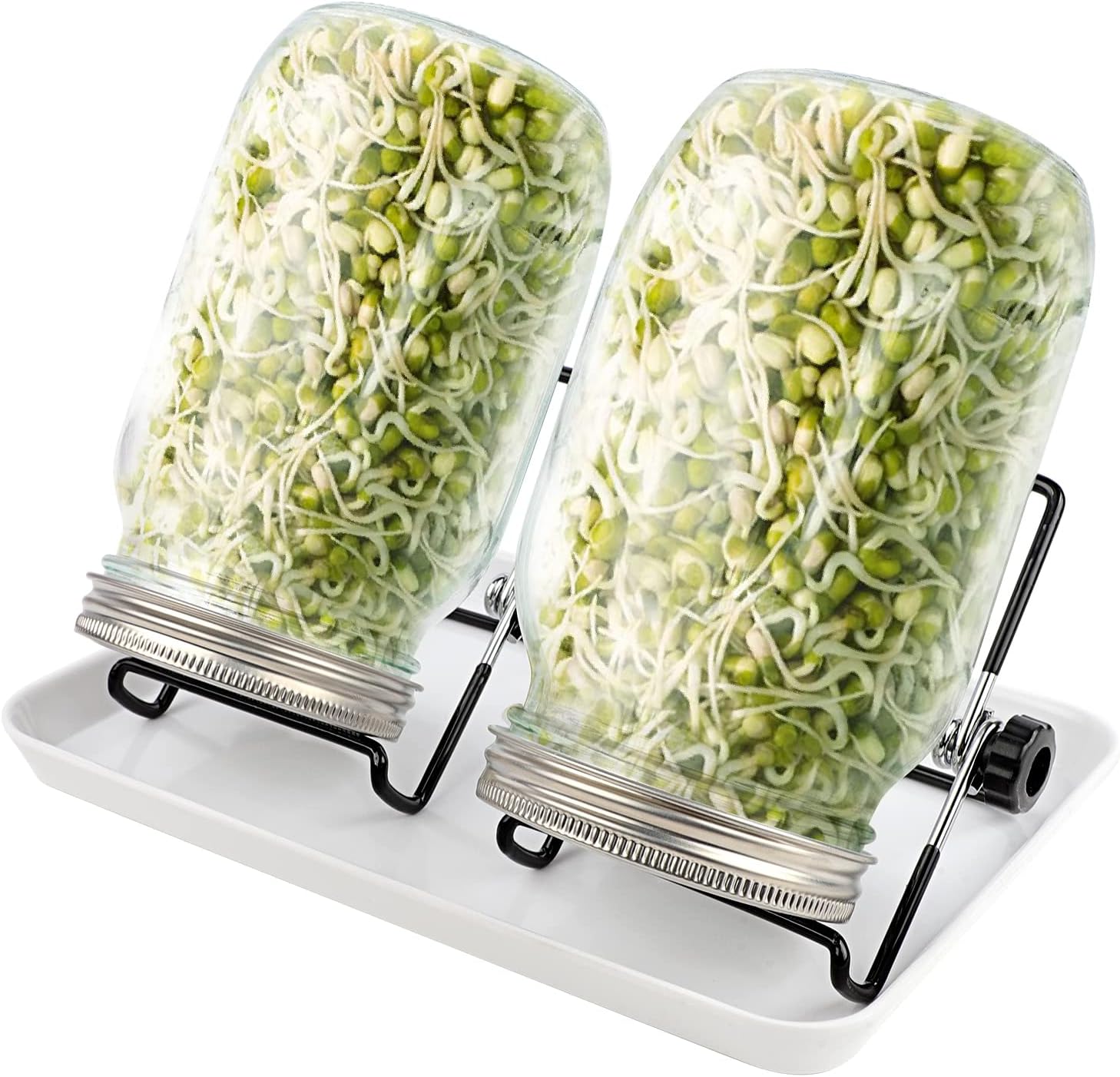WellehomiSprouting Seeds Jar Kit 2 Mason Sprouter Jars 32oz Broccoli Germinator Glass Jars Kits with Stainless Steel Mesh Lids Stands & Tray for Sprouting Broccoli Beeds Beans Alfalfa