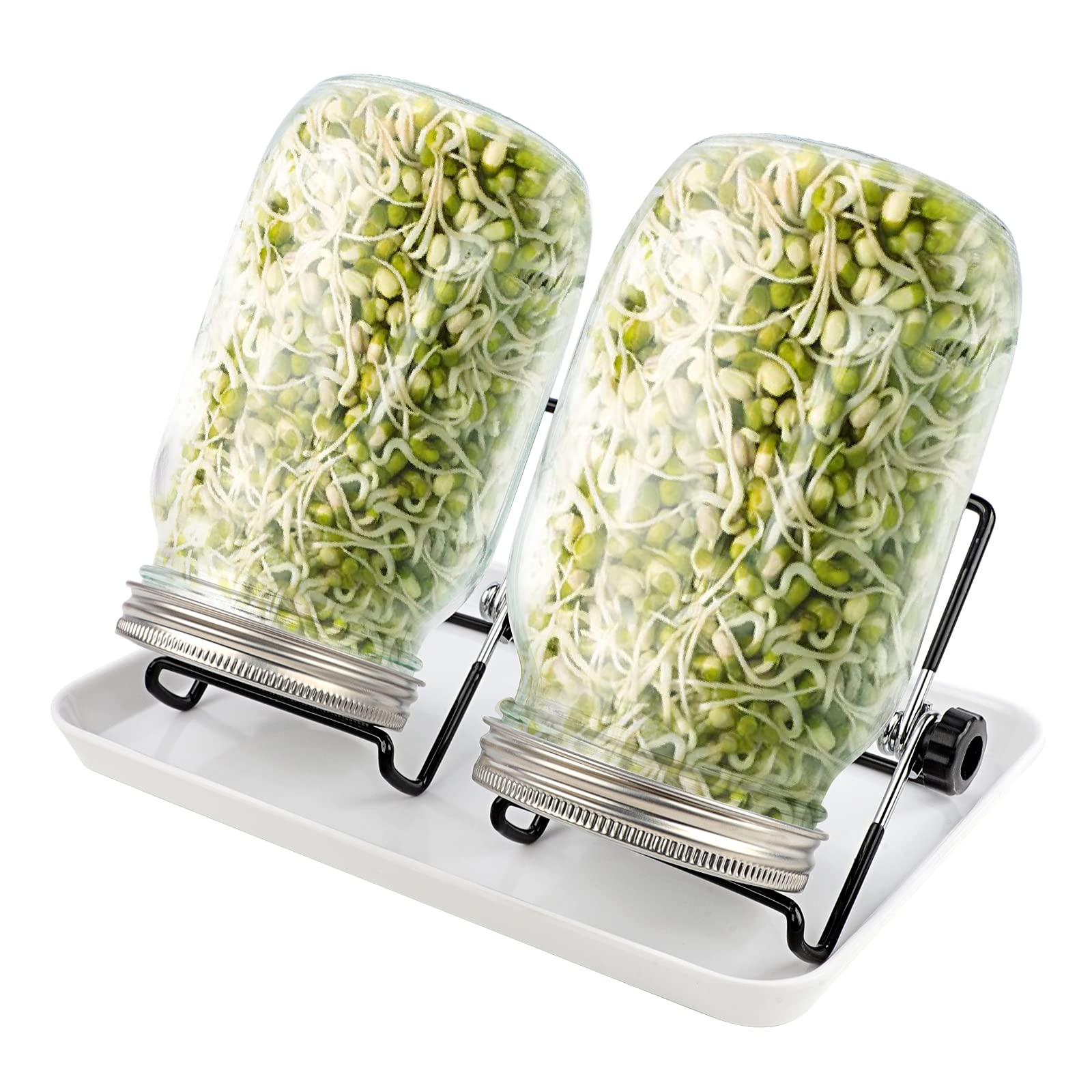 WellehomiSprouting Seeds Jar Kit 2 Mason Sprouter Jars 32oz Broccoli Germinator Glass Jars Kits with Stainless Steel Mesh Lids Stands & Tray for Sprouting Broccoli Beeds Beans Alfalfa