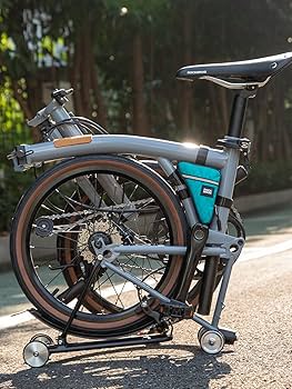 Amazon.com: ROCKBROS Triangle Bike Bag for Brompton Bike