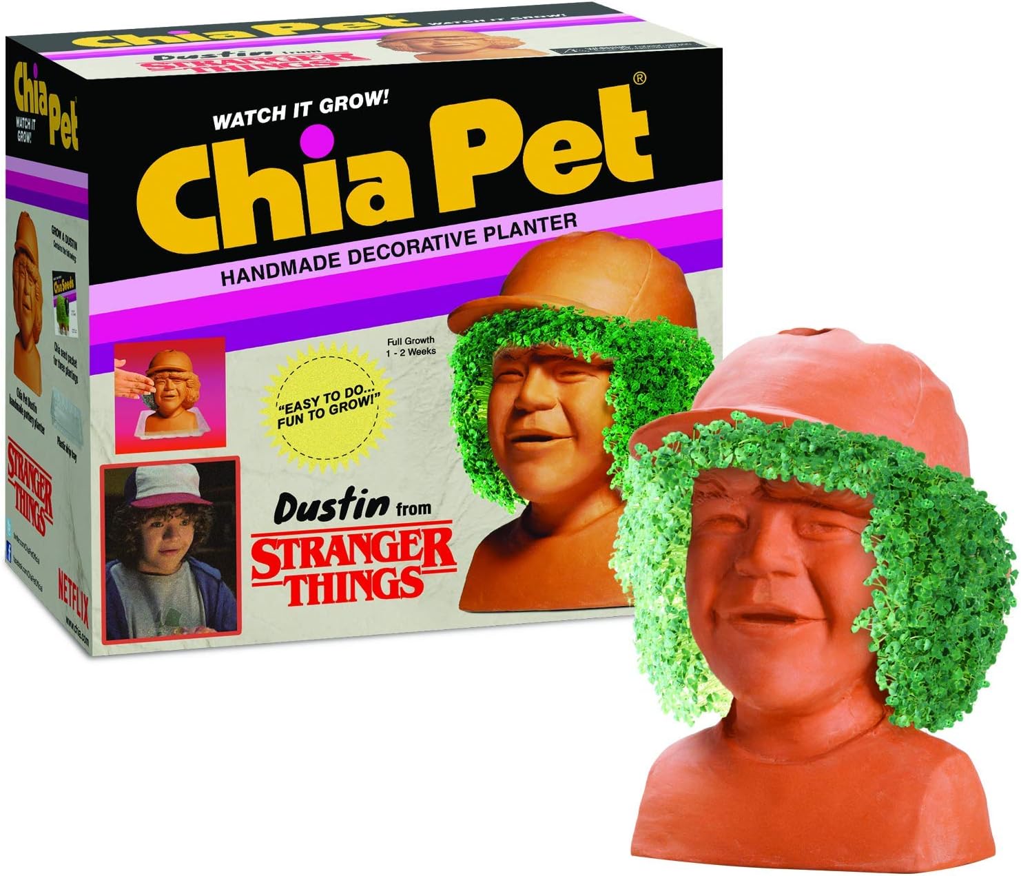 Chia Pet Stranger Things - Dustin with Seed Pack, Decorative Pottery Planter, Easy to Do and Fun to Grow, Novelty Gift, Perfect for Any Occasion