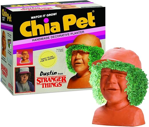 Stranger Things Chia Pet Dustin Decorative Pottery Planter : Amazon.it:  Alimentari e cura della casa