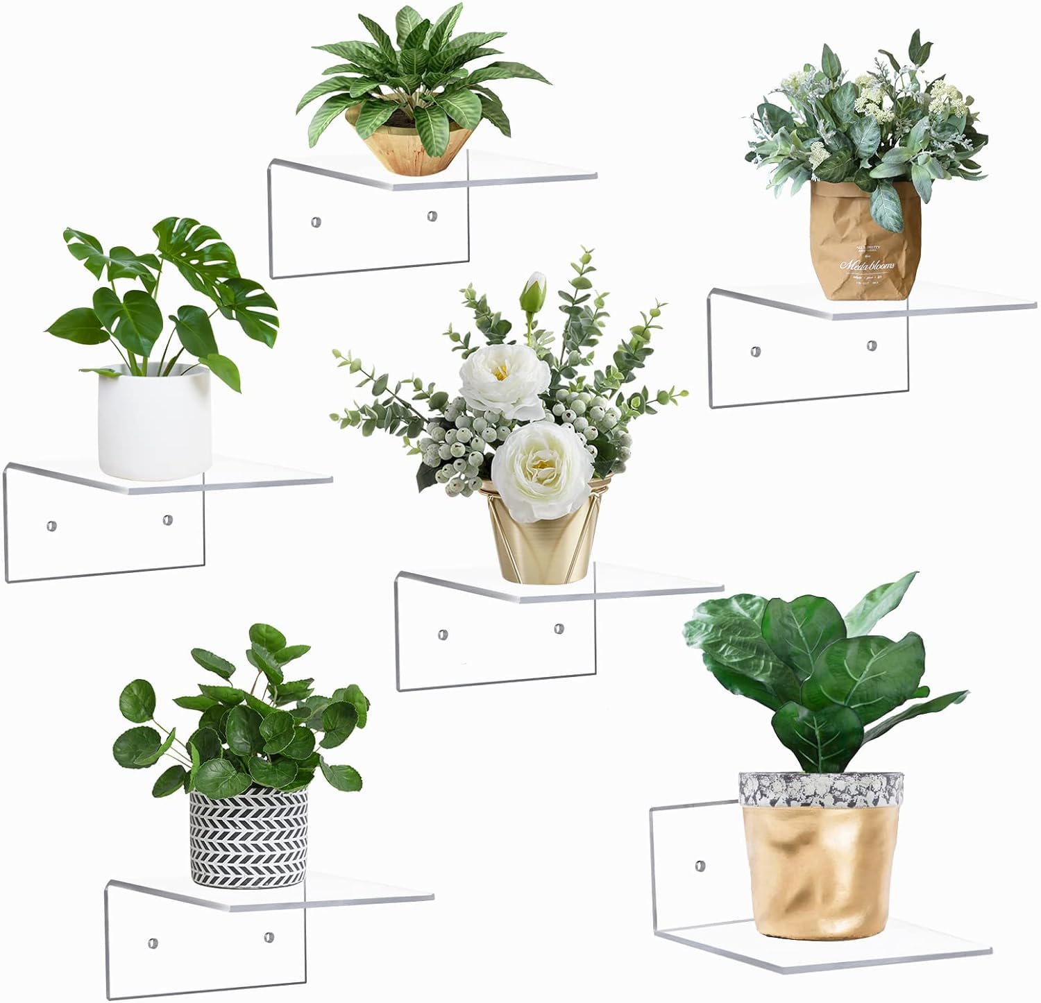 Lippan� 12 Pack Small Acrylic Floating Shelves Stylish Wall-Mounted Display Solution for Plants, Toys, and Home Decor Items (Pack of 12)