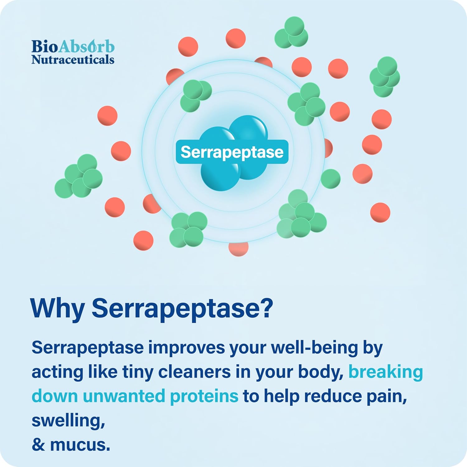 Bio Absorb Serrapeptase Supplement 120000 SPU, High Potency, Delayed Release - Image 7