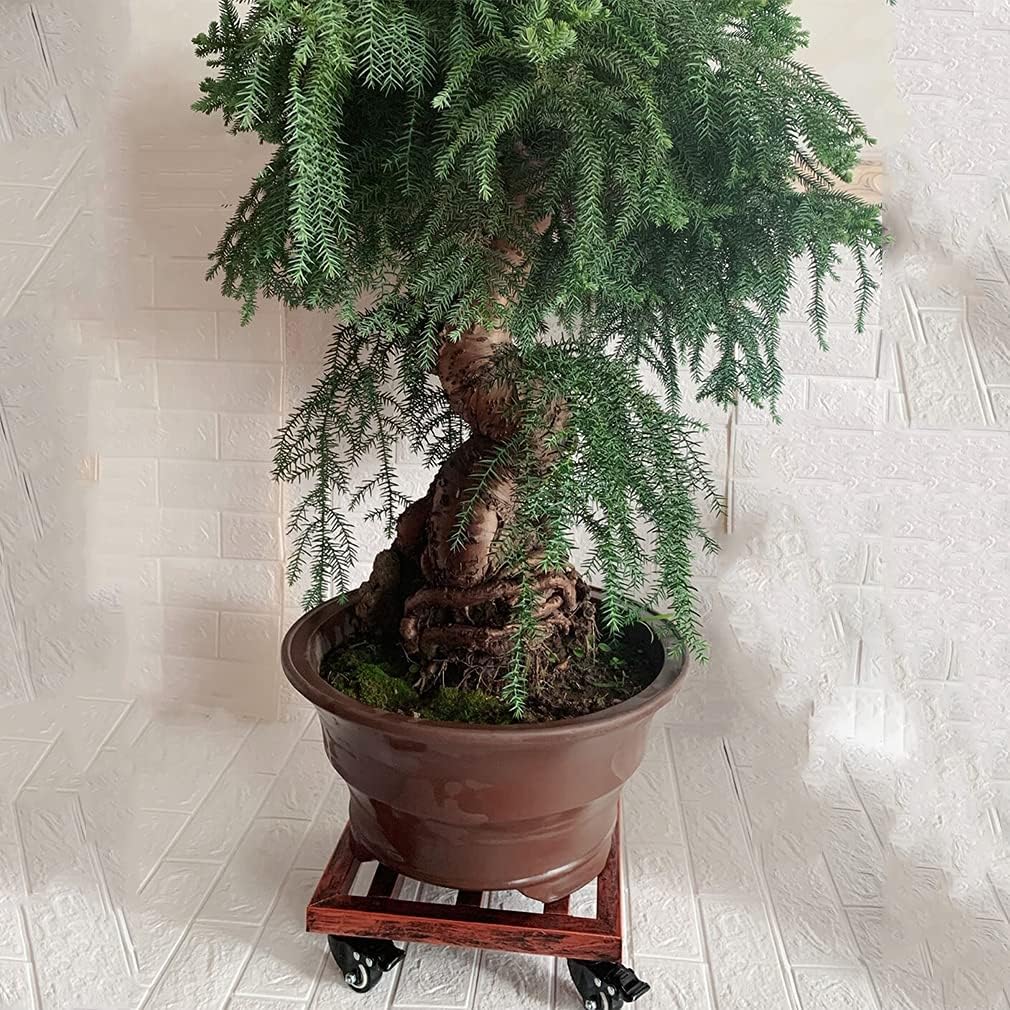 Heavy Flowerpot Moving Frame,Heavy Duty Square Plant Caddy - 150KG Stand with Locking Casters, Fit for Indoor/Outdoor Pots(Black,30x30cm)