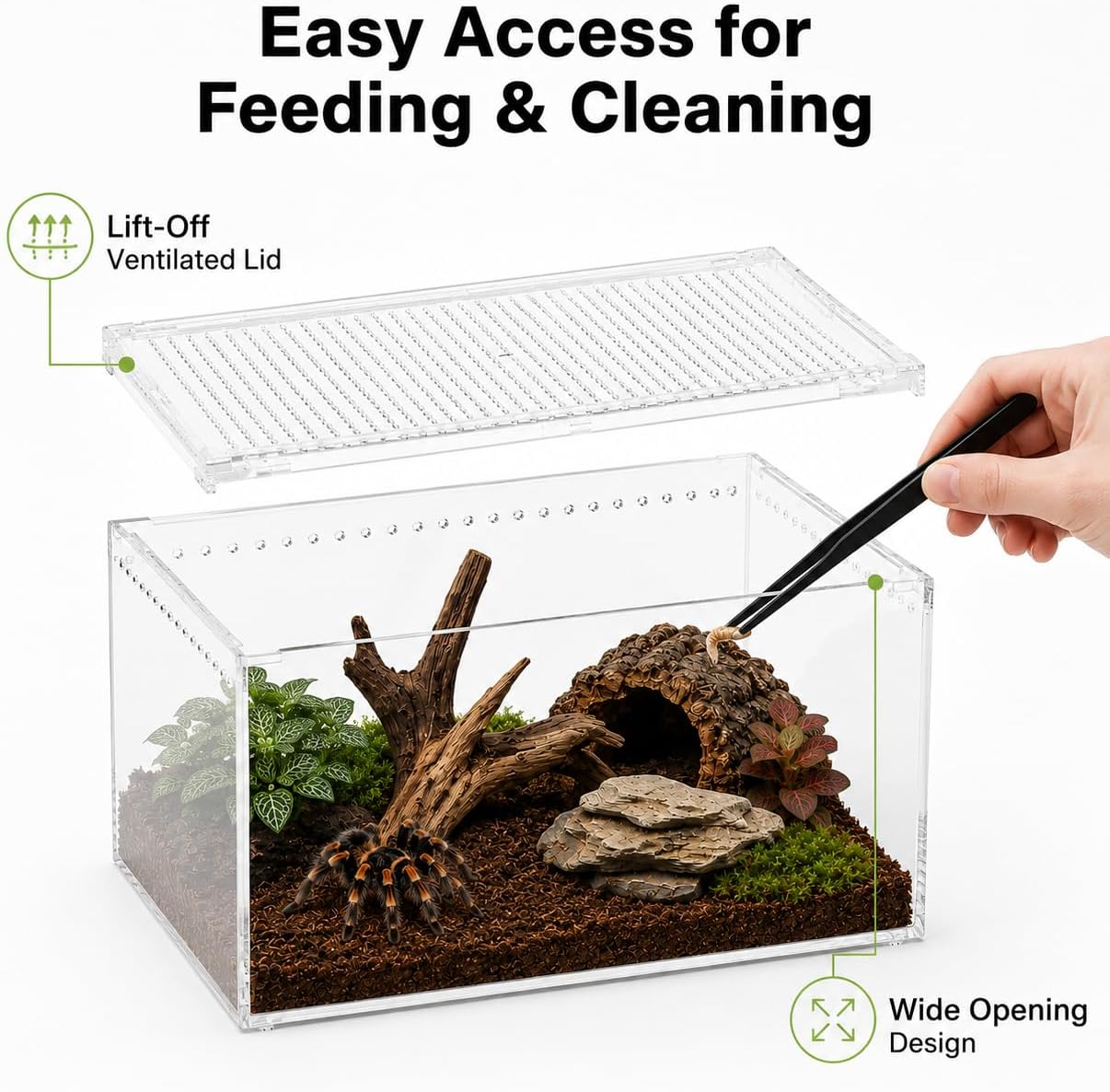 Large Clear Acrylic Jumping Spider Enclosure, 11.8 x 7.9 x 5.9 in | Suitable for Tarantulas, Spiders, mantises, Beetles, and Small Reptiles, Wide Opening Design for Feeding and Cleaning