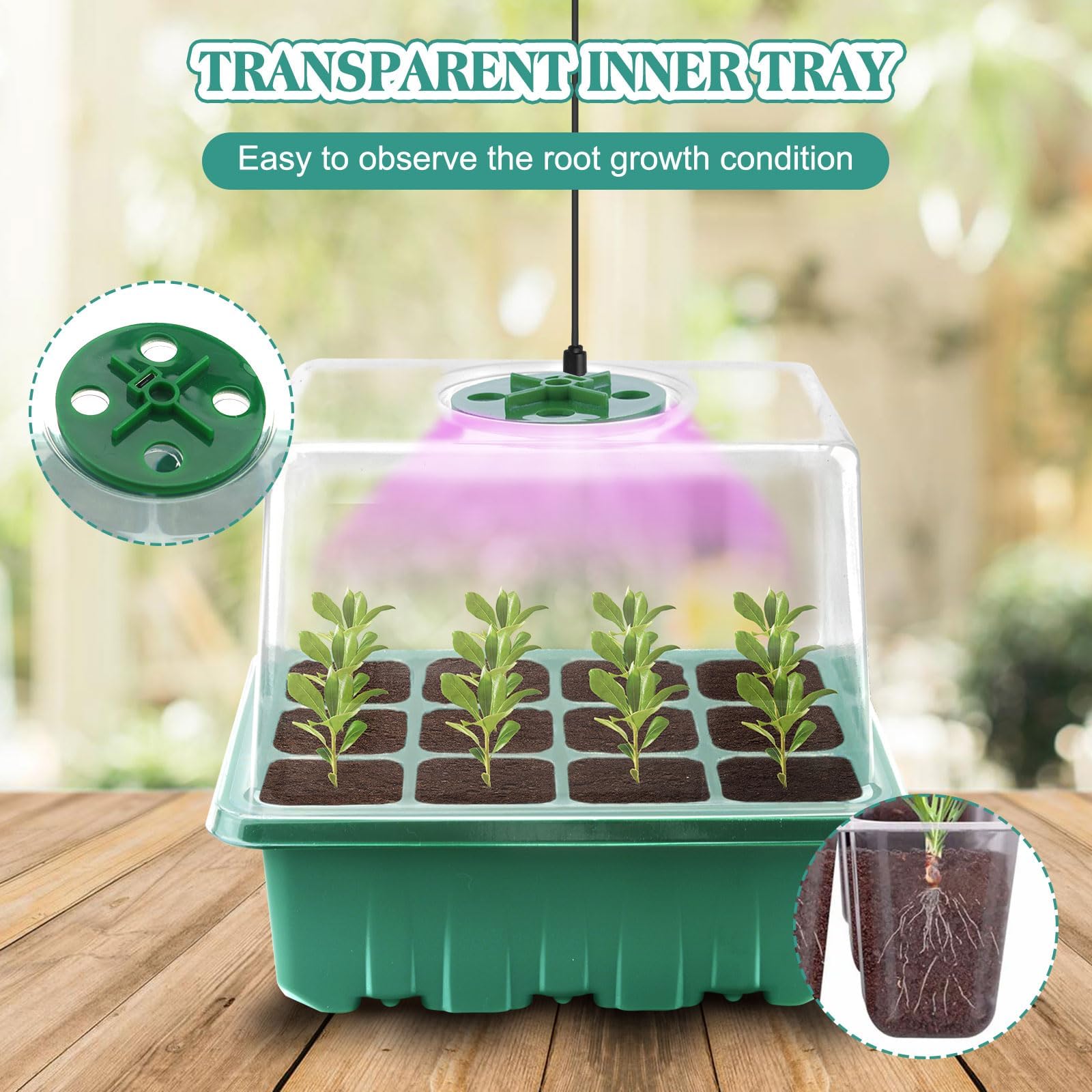 5 Pezzi Vassoi per La Germinazione, Vassoio Germinazione con Luce di Coltivazione Propagator con coperchi rialzati per Serra Giardino Verdura Frutta Seme Piante In Mini Serra