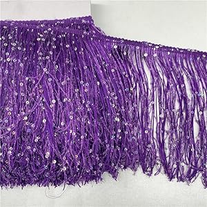 YYCRAFT Hoogram Violett Pailletten Fransenborte 4,5m