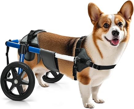 Dog Wheelchair for Back Legs Adjustable Dog Wheelchair, Aluminum Frame with Padded Harness, All-Terrain Wheels for Medium Dogs, Corgi Dachshund Mobility Support Cart for Back Legs