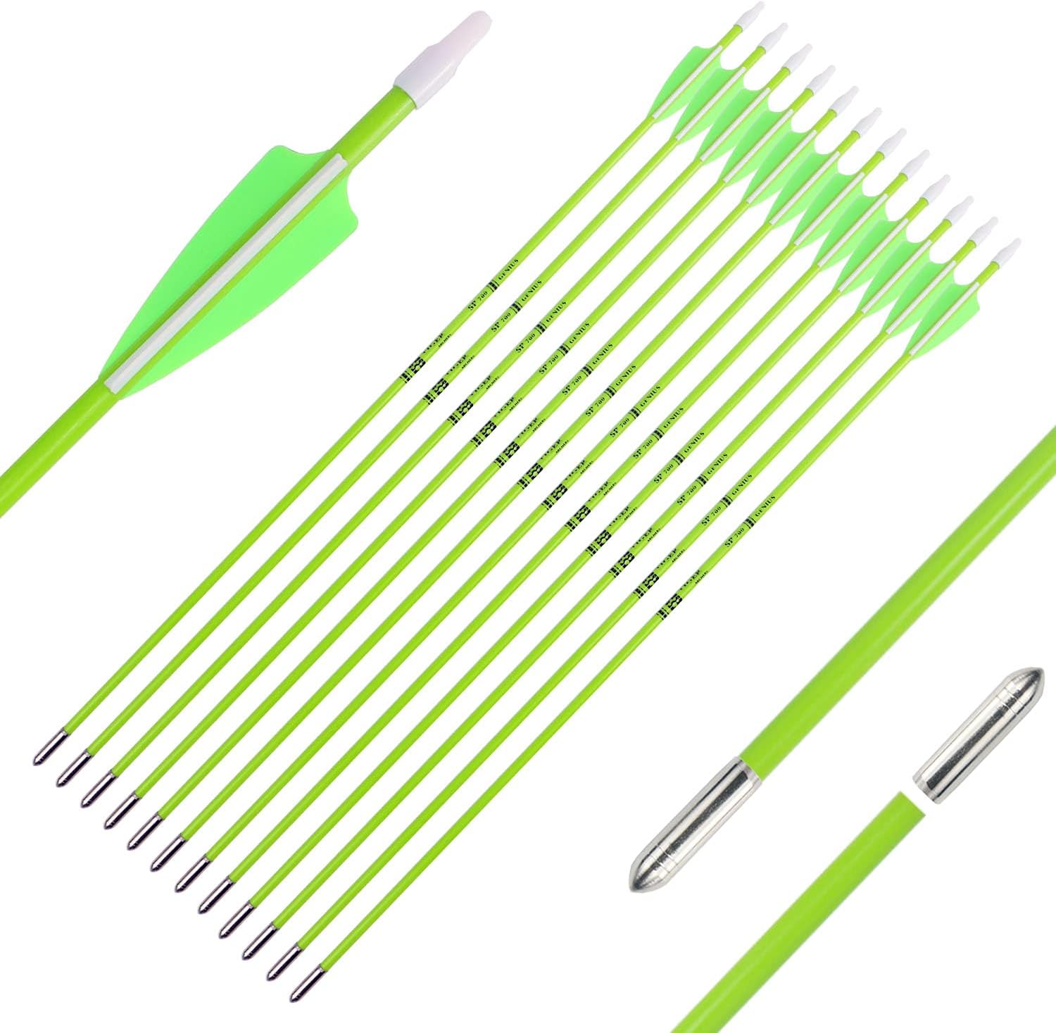 Tiger Archery 28inch Archery Fiberglass Youth Arrows for Recurve Bows- Beginners Adult and Youth Kids Arrows Practice (Pack of 12) (Green Sharp Tip) : Sports & Outdoors