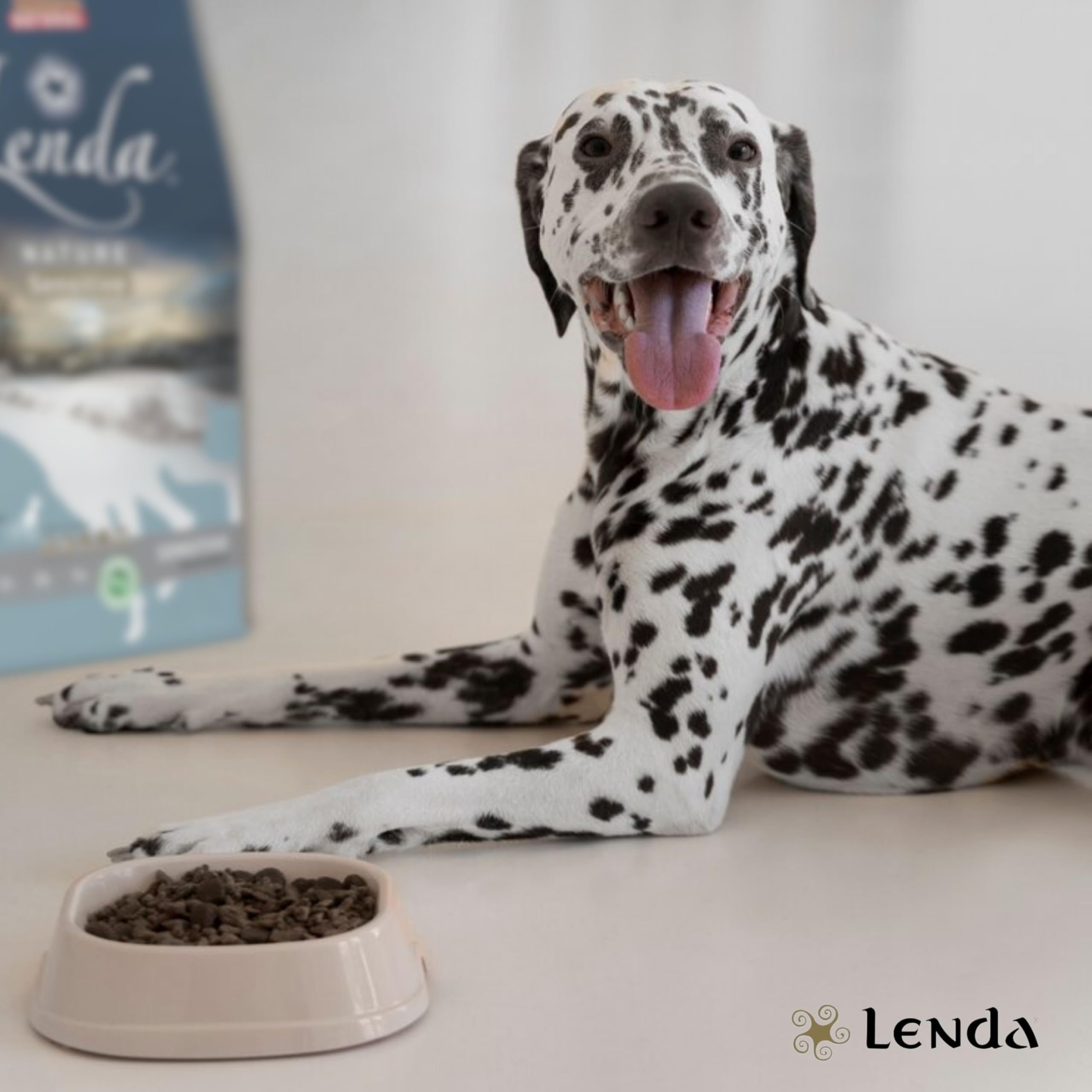 Lenda Sensitive 12Kg - Pienso Hipoalergénico para Perros Jóvenes y Adultos con Alergias Severas o Intolerancias | Pienso Gastrointestinal con Pescado Blanco | Comida Perros Natural y SIN Cereales