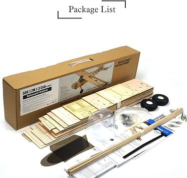 Dancing Hobby Balsa Wood RC Airplane
