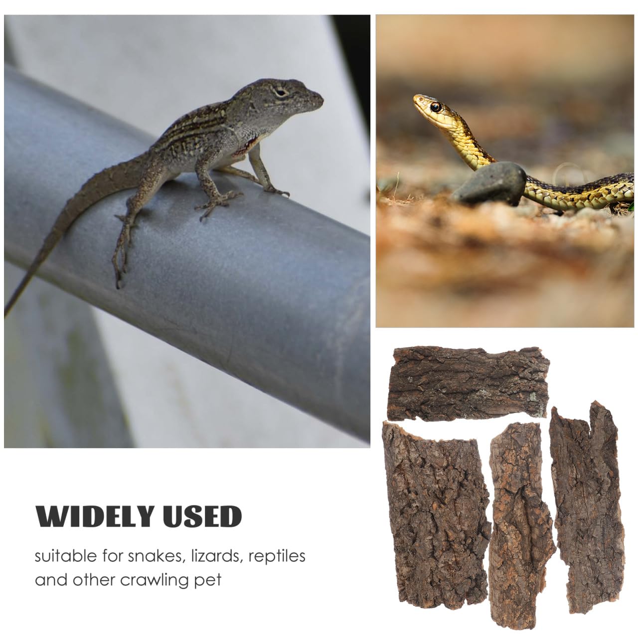 BESPORTBLE Cork Bark: 4Pcs Natural Bark Backdrop Reptile Cork Hideout Reptile Climbing Mat Tank Terrarium Decor for Bearded Dragon Lizard Geckos Tortoise - Image 3