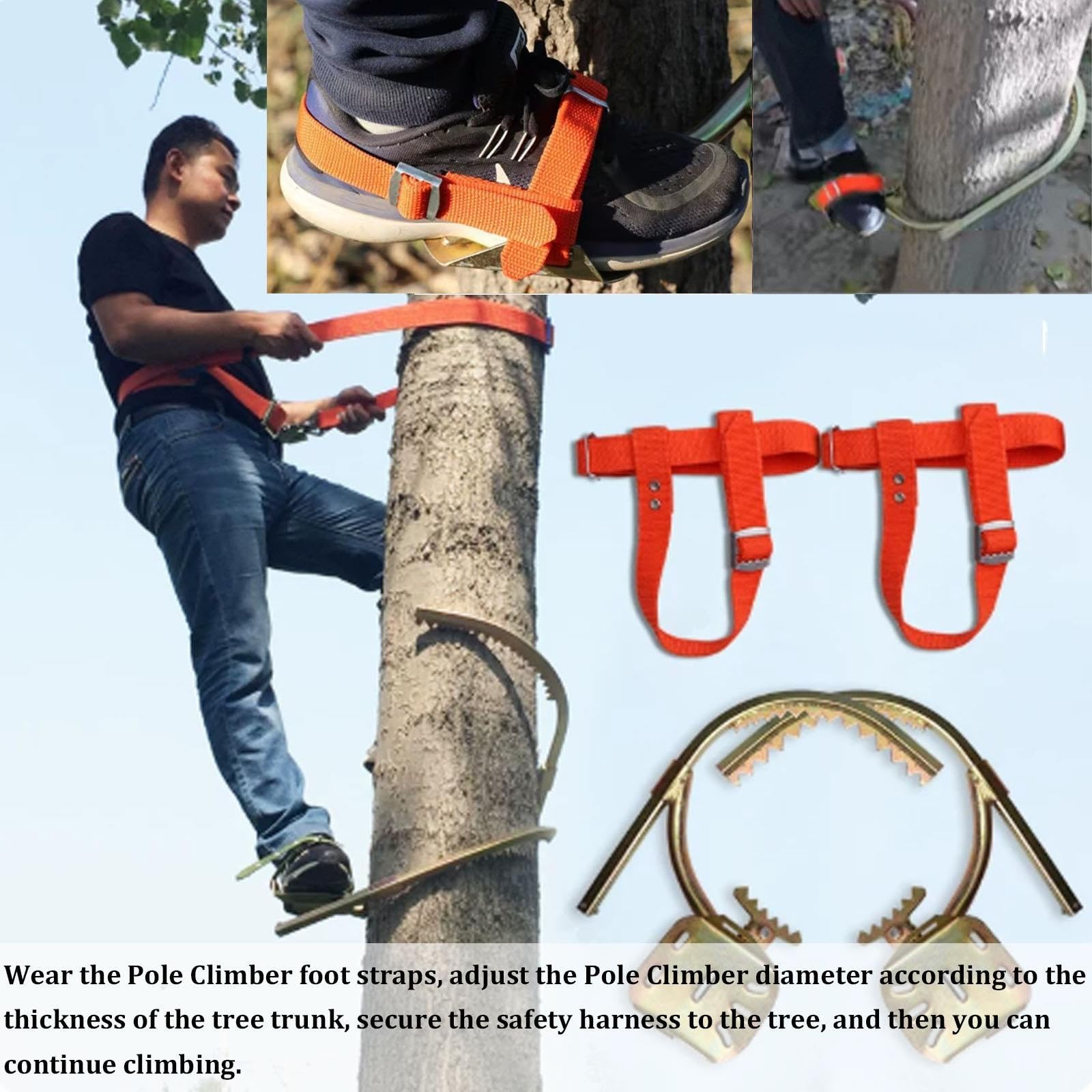 Crampons Professionnels pour l'élagage et l'entretien des Arbres et poteaux