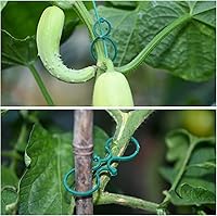 Vista 6 de Lazos Suaves para Plantas de 118 Pies Lazos de Jardín Verde Twist con 20 Clips para Plantas para Plantas Jardinería Hogar Oficina Organización