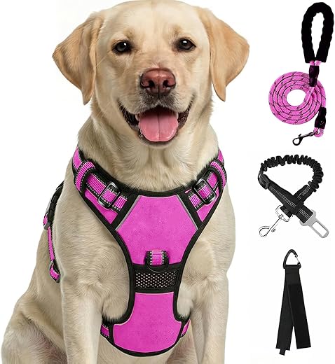 FURRYFECTION No Pull Dog Harness, Reflective Vest Harness with Leash No Choke Soft Padded Dog Vest, Adjustable Front Lead Dog Harnesses with Dog Seat Belt for Small Medium Large Dogs, Rose, L