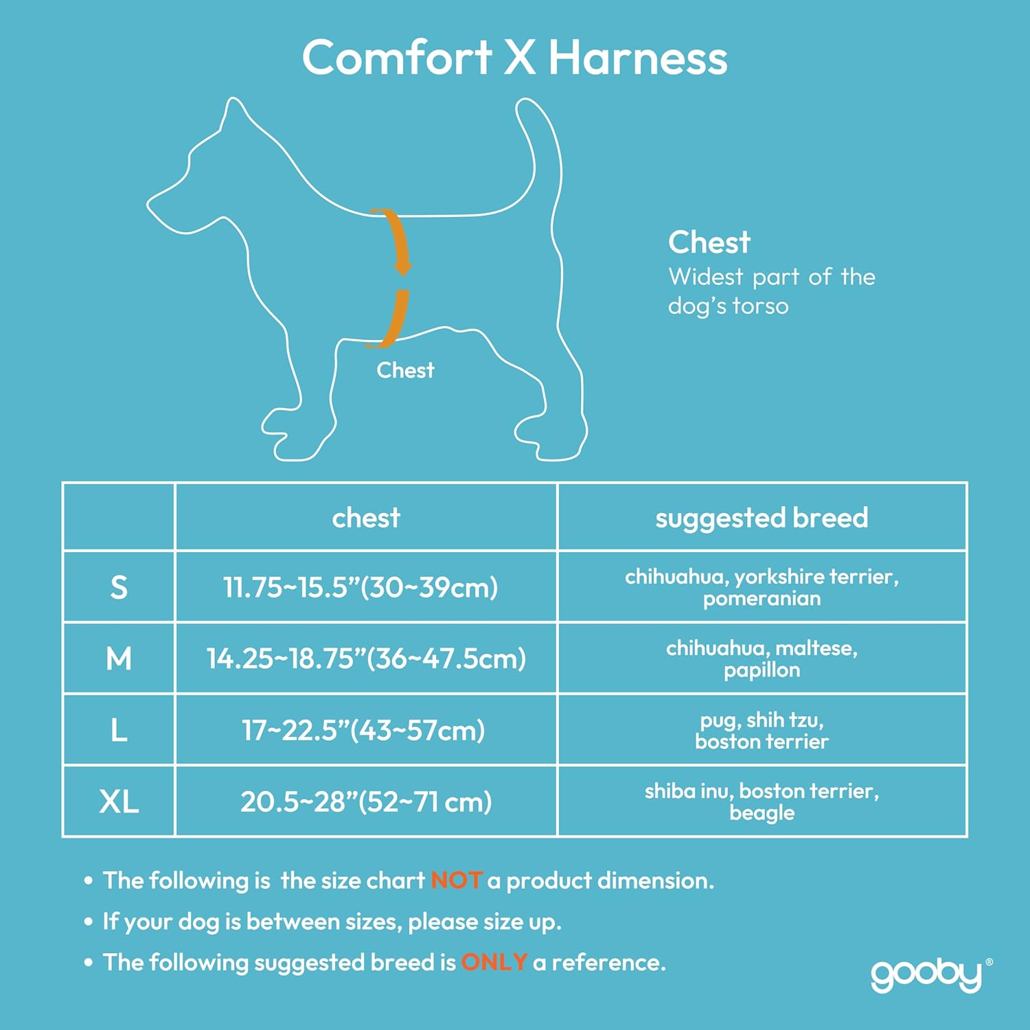 Gooby Comfort X Head In Harness - Blue, Medium - No Pull Small Dog Harness, Patented Choke-Free X Frame - Perfect on the Go Dog Harness for Medium Dogs No Pull or Small Dogs for Indoor and Outdoor Use : Pet Halter Harnesses : Pet Supplies