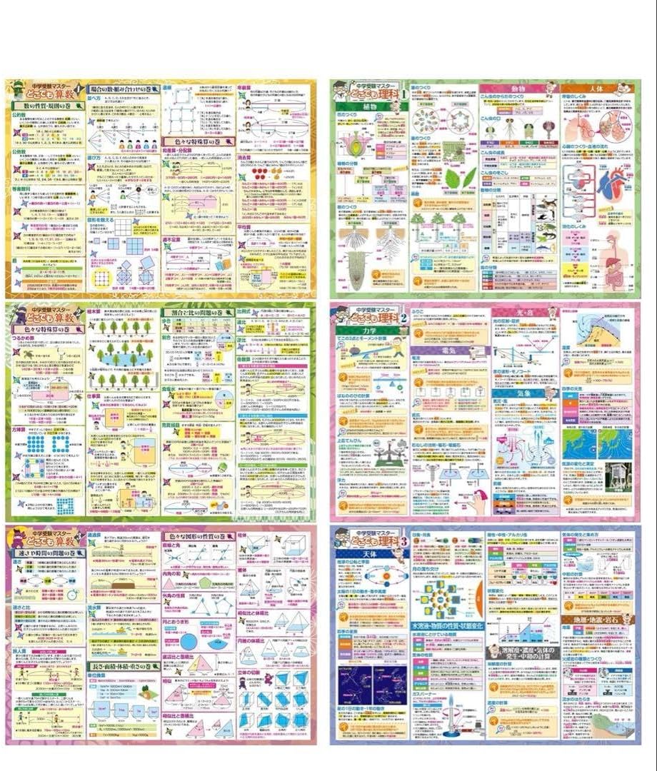 510258 お風呂の学校 セット 中学受験マスター算数／理科 6枚
