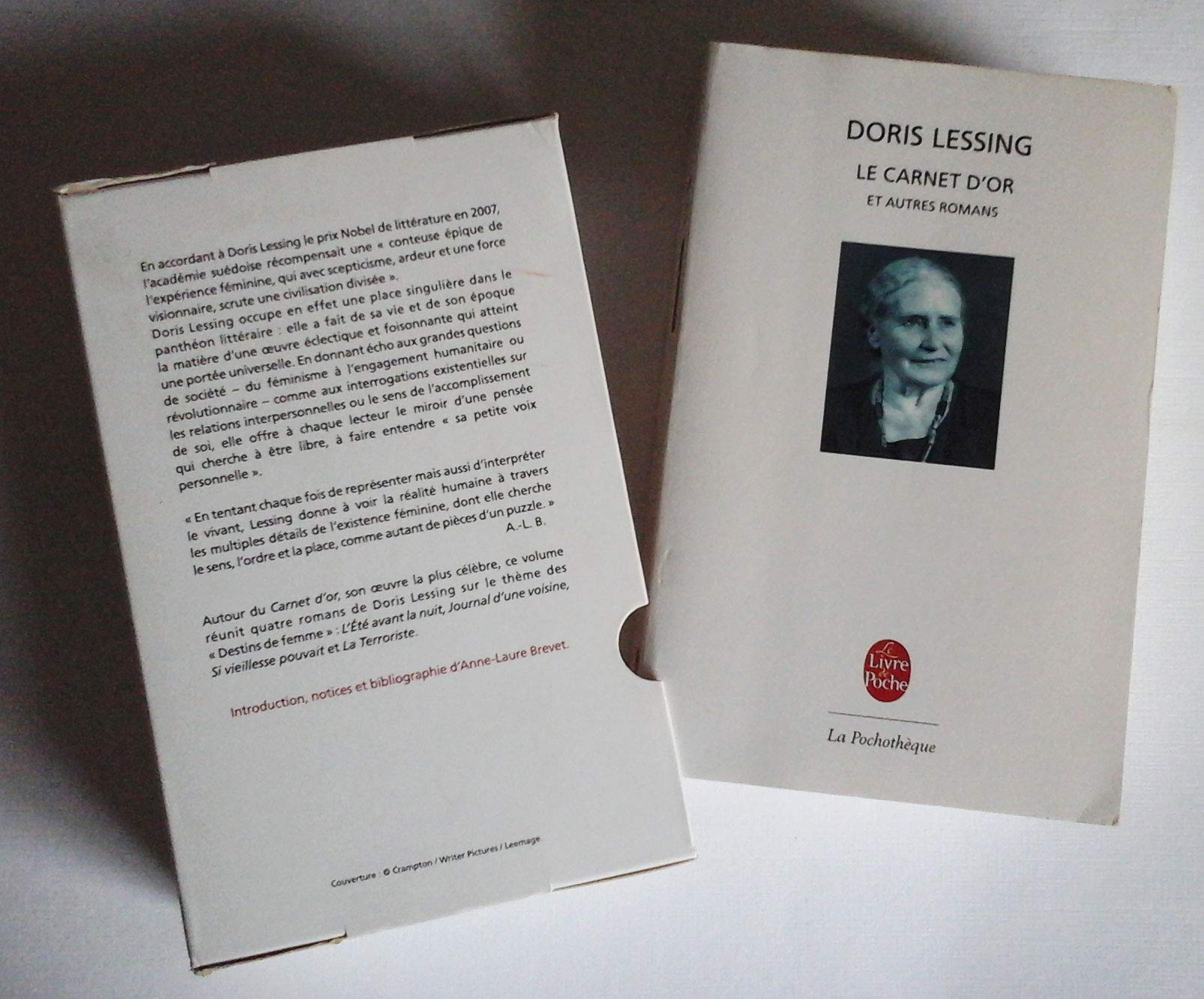 Le Carnet d'or et autres romans