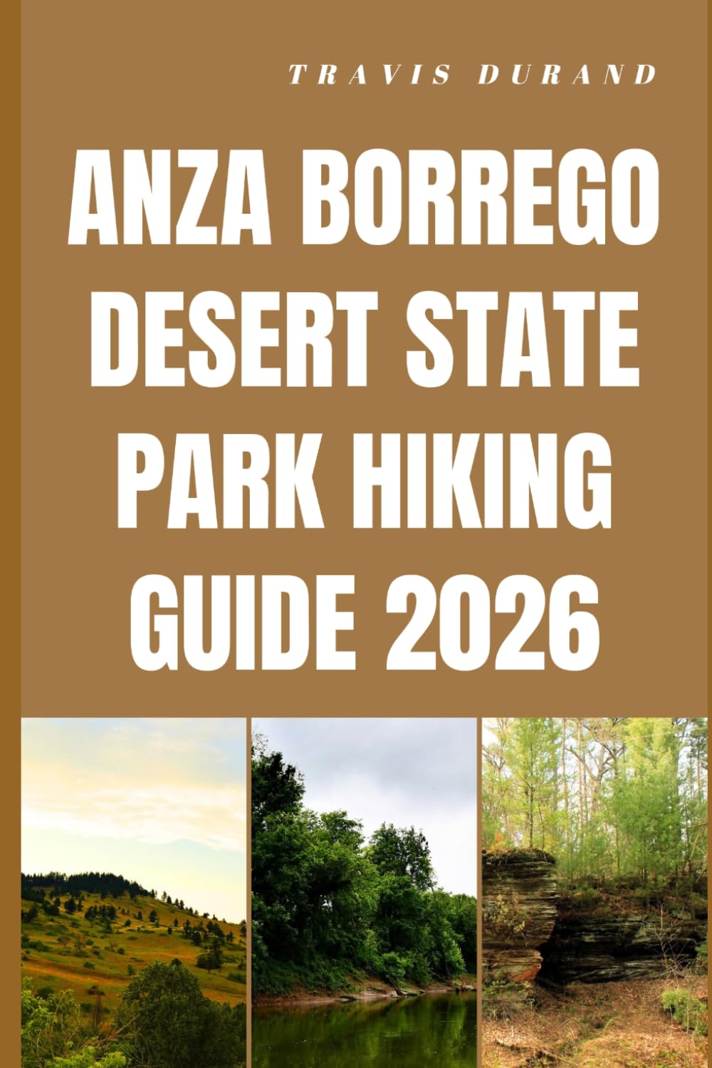 ANZA BORREGO DESERT STATE PARK HIKING GUIDE 2026: Explore Desert Trails, Wildflower Blooms, Slot Canyons, and Hidden Oases with Practical Tips and Local Insights