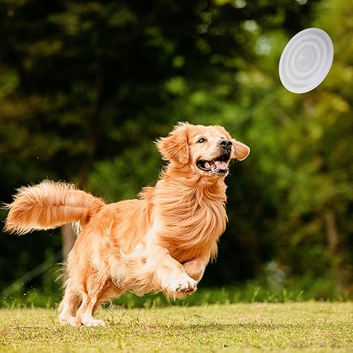 Miniatura 7 de SLSON Tazones plegables para perros con tapas de cubierta, paquete de 2 tazones de viaje para perros, portátiles, plegables, para gatos, para