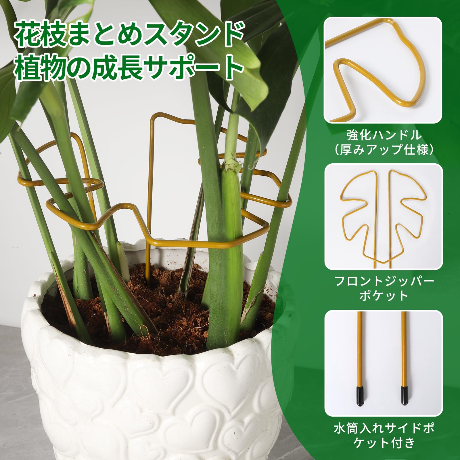 Amazon | YSYLGL園芸支柱 小型のモンステラ（観葉植物）専用スタンド 2