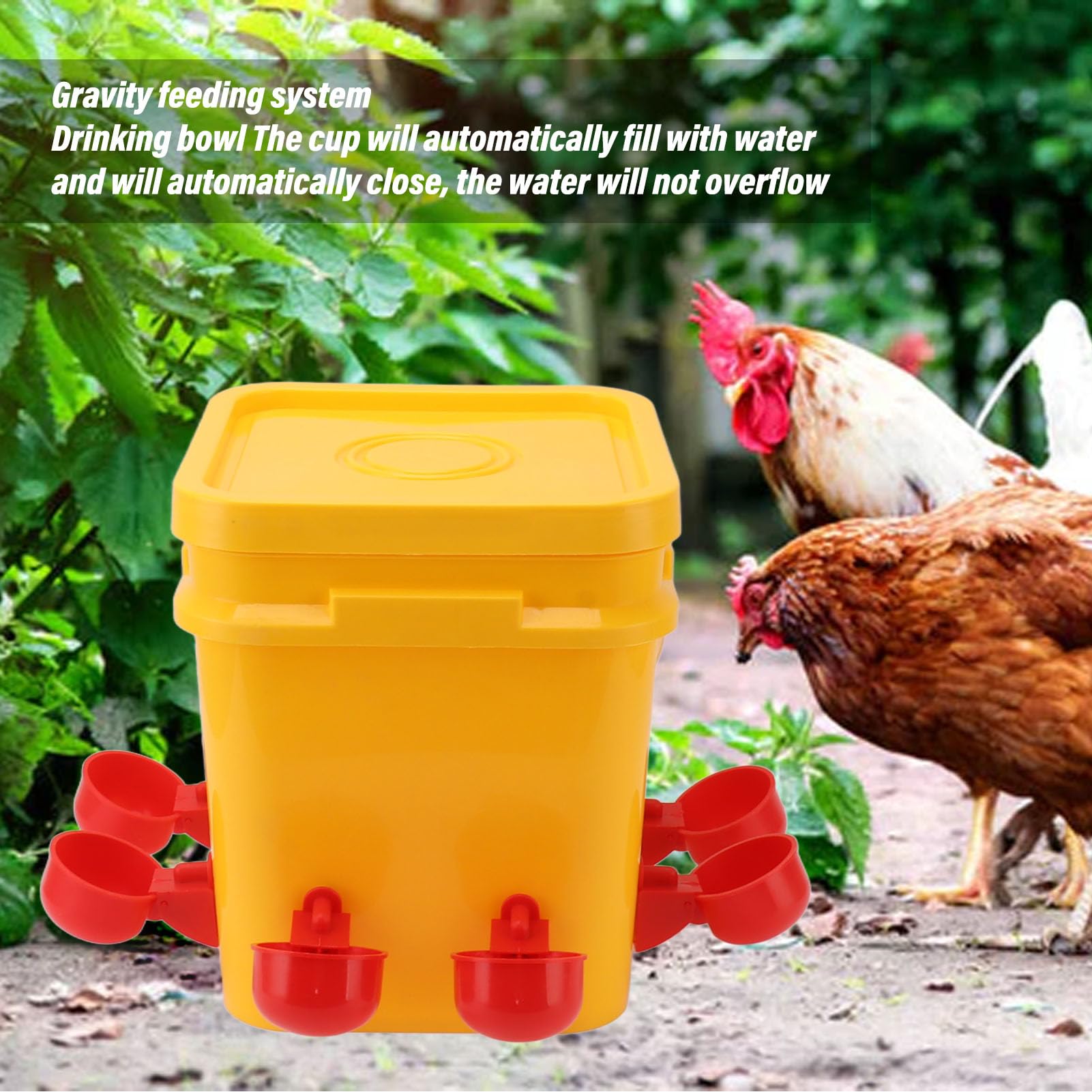 Bebedero automático para Pollos, Bebedero automático para Pollos, comedero con Cubo de Mano de 12 litros, Equipo para Beber Aves de Corral para Pato Ganso (Cubo+Nuevo Cuenco Red Bird+Tornillo Negro)