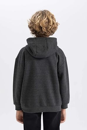 DeFacto Boys' Regular Fit Hooded Sweatshirt