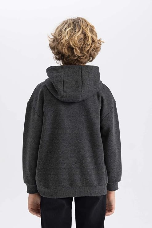 DeFacto Boys' Regular Fit Hooded Sweatshirt