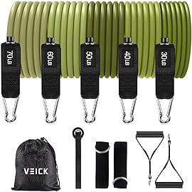 VEICK Resistance Bands, Exercise Bands, Workout Bands, Resistance Bands for Working Out with Handles for Men and Women, Exercising Bands for Fitness Weights Work Out at Home