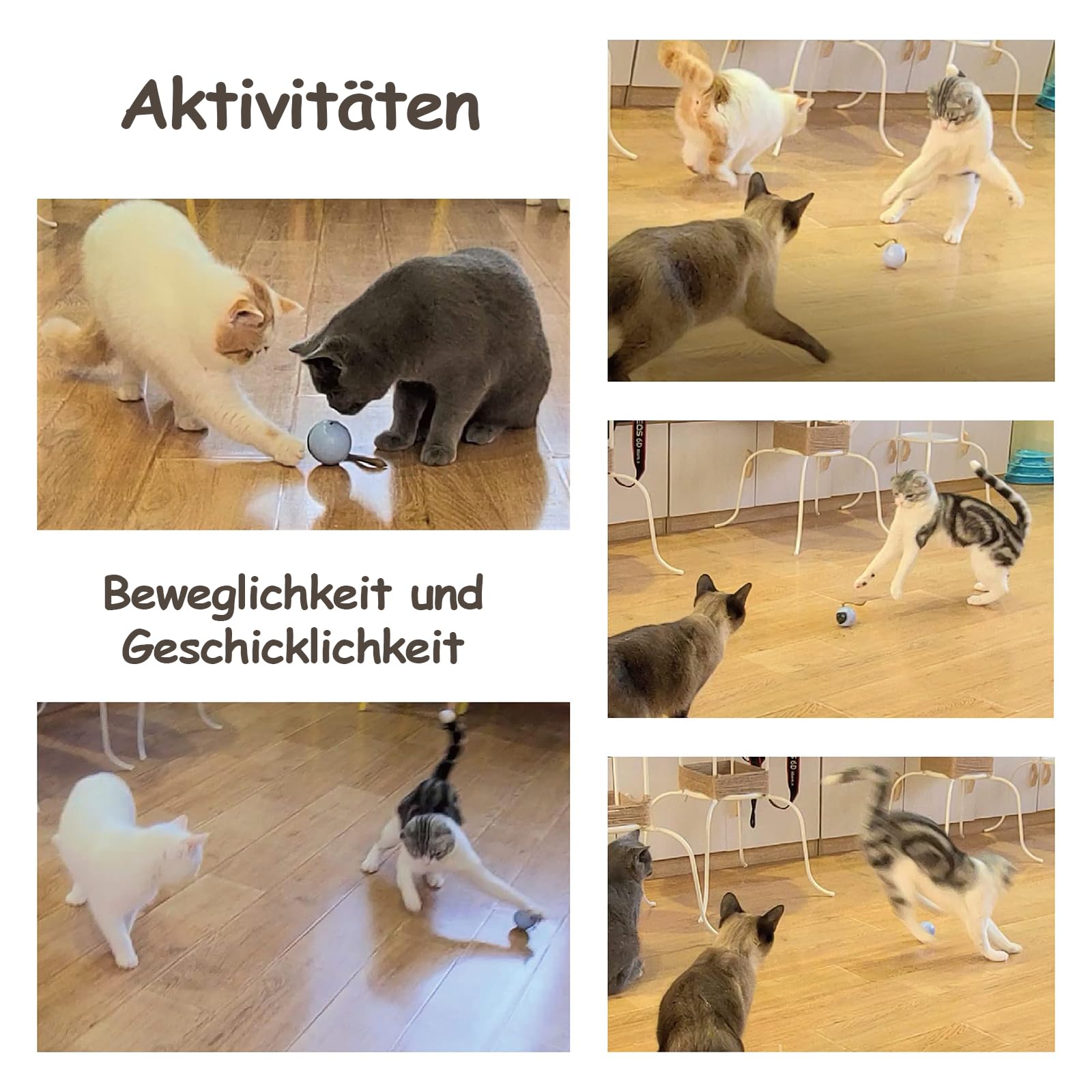 Migipaws Katzenspielzeug elektrisch interaktiver Ball, natürliche Federn als zusätzliches Katzenspielzeug selbstbeschäftigung,Berührungsaktivierung, wiederaufladbar