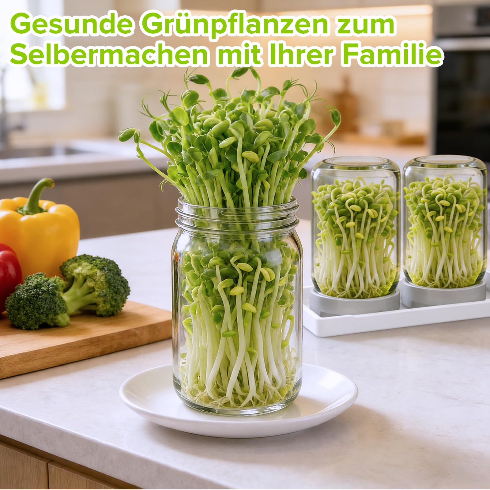Lot De 3 Bocal De Germination, 900ml Pots Mason à Large Ouverture Couvercles De Germination, Pots De Germination Lot, Plateau à éGouttage Et Brosse Nettoyage, pour La Luzerne Potager Familial