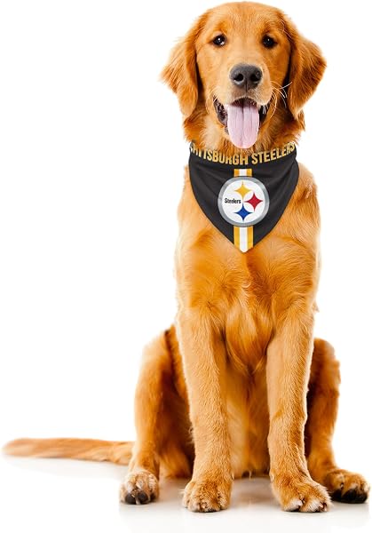 Littlearth NFL Haustier-Halstuch Wendbar