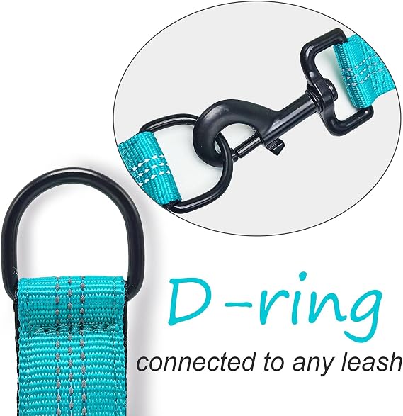 3 Handle 10FT Dog Leash+ 21 Bungee Dog Leash Extender with Traffic Handle for Dogs, Works with Any Lead, Reflective & 6 Colors (Turquoise)