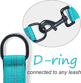 3 Handle 10FT Dog Leash+ 21 Bungee Dog Leash Extender with Traffic Handle for Dogs, Works with Any Lead, Reflective & 6 Colors (Turquoise)