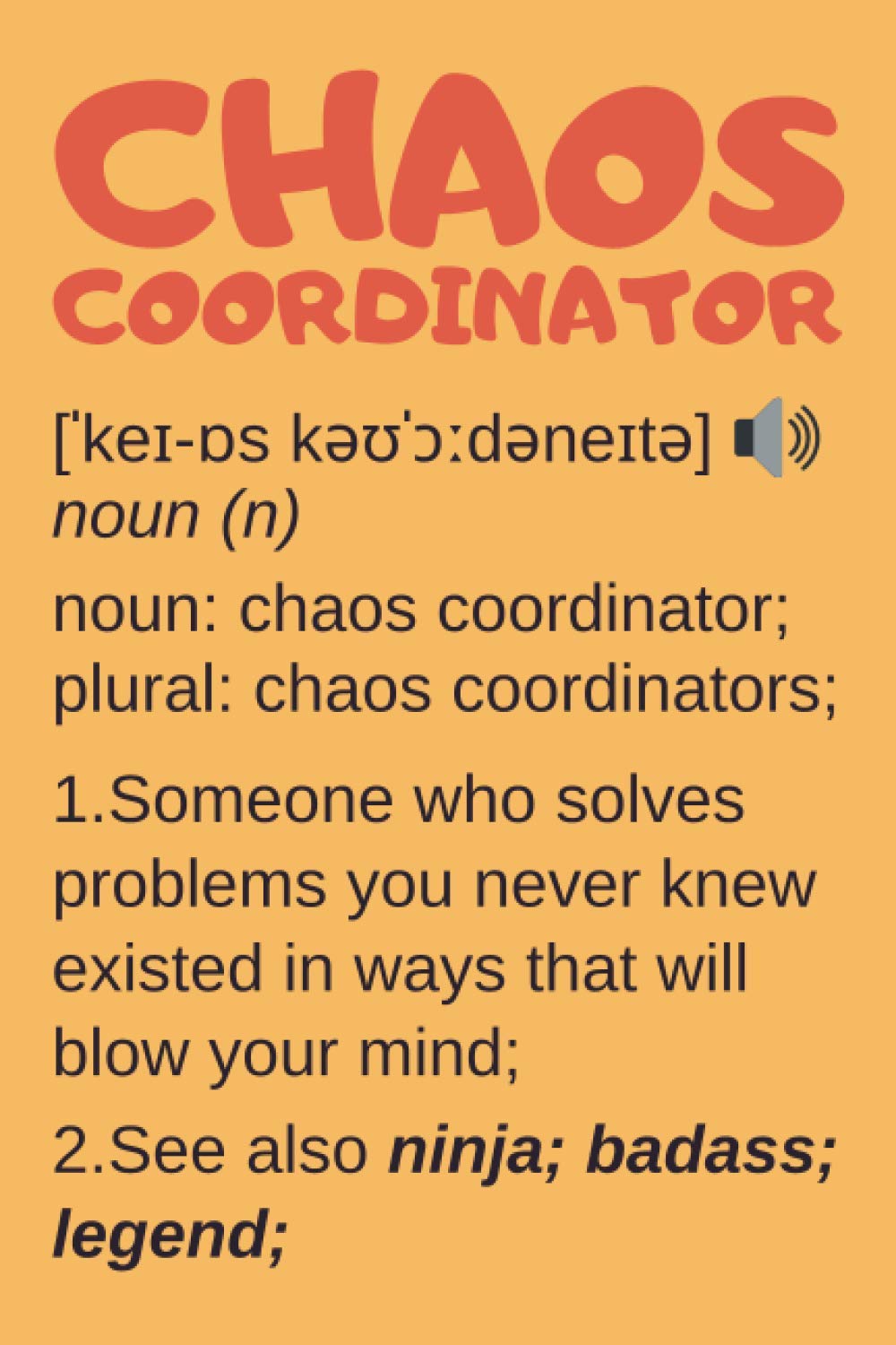 Chaos Coordinator Gifts: Lined Notebook Journal Diary Paper Blank, an Appreciation Gift for Chaos Coordinator to Write in (Volume 5)