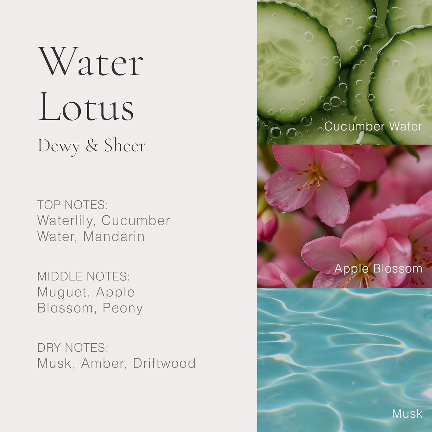 CLEAN H2EAU Fragrance Discovery Gift Set, Travel Mini Size, Water-Based Layerable Daily Perfume, Cruelty-Free, Ethyl Alcohol, Phthalate & Paraben Free - Image 10